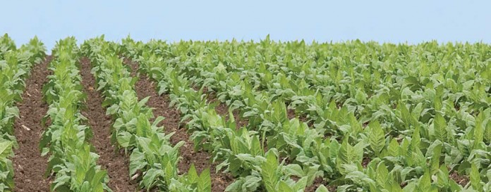 Field Field