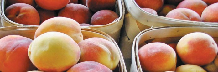 Peaches Peaches