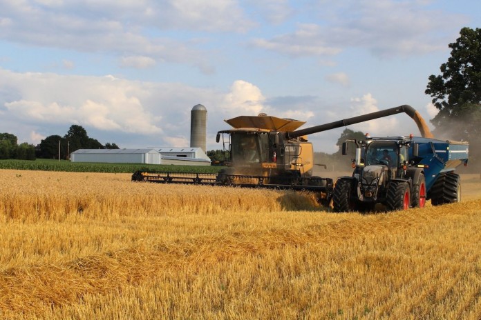 wheat harvest wheat harvest