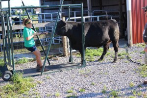 Leah Fine's participation in 4-H, including work this year with the Geauga County Junior Fair Livestock Sale Ambassadors, has taught valuable lessons in and out of the barn.