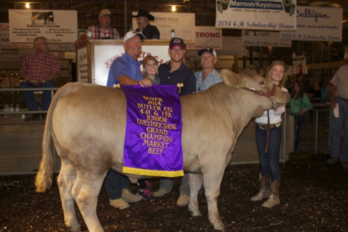 Butler Gr. Steer