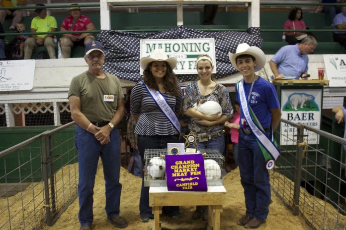 Canfield gr ch meat pen