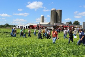 Manure crowd