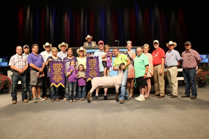 OSF grand lamb