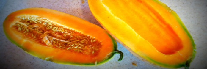 Old-Time-Tennessee-Melon-featimg
