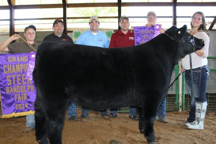 Portage gr. steer