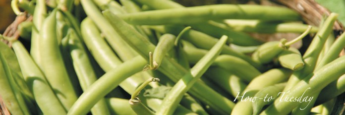 how to canning