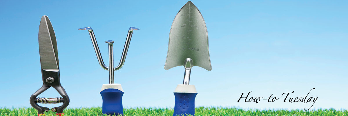 how to extend gardening season