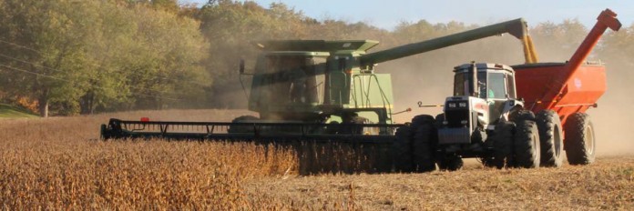 soybean harvest soybean harvest
