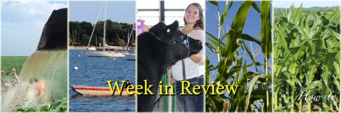 week-in-review-8.30 Week in Review 8/30