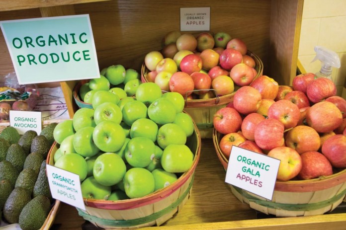 organic fruit organic fruit