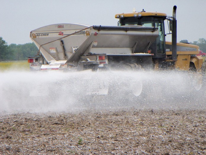 Gypsum 1