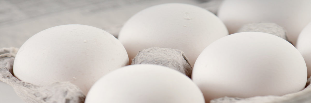 Carton of eggs
