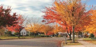 fall