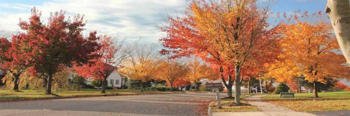fall fall