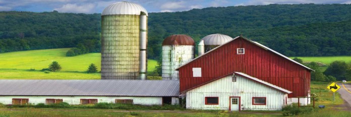 farm farm