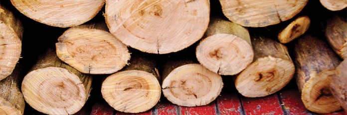 firewood basics firewood basics