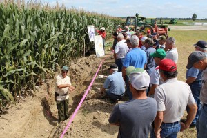 no-till soil
