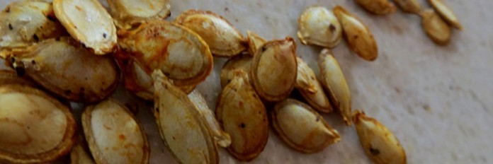 roasted pumpkin seeds roasted pumpkin seeds