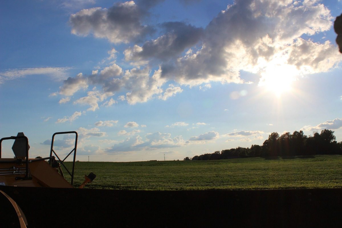 farmland
