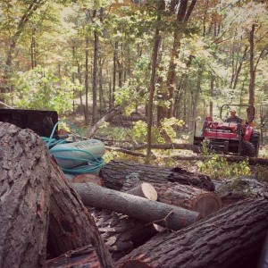 Firewood