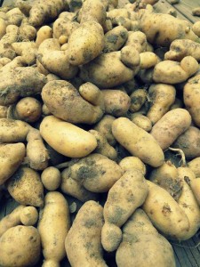 Potatoes