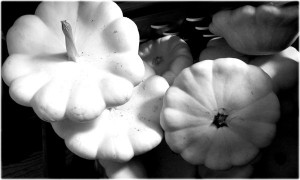 Squash