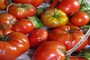 tomatoes