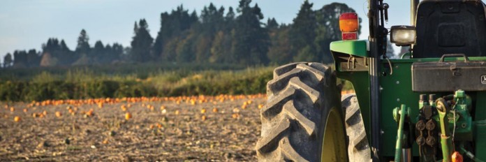tractor and field tractor and field