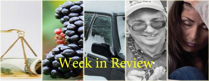 Week in Review 10/18 Week in Review 10/18