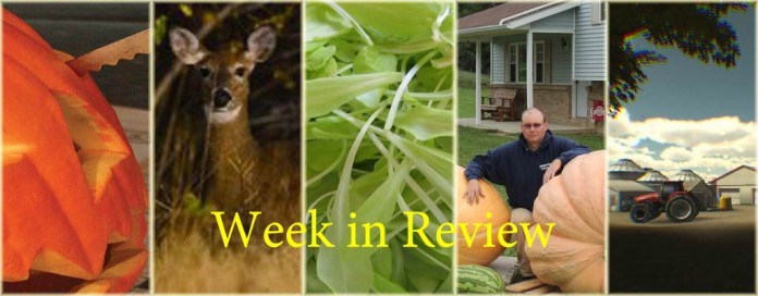 Week in Review 11/1 Week in Review 11/1