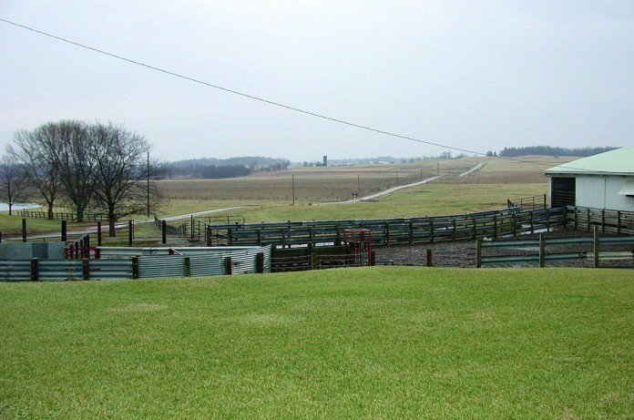 farm landscape