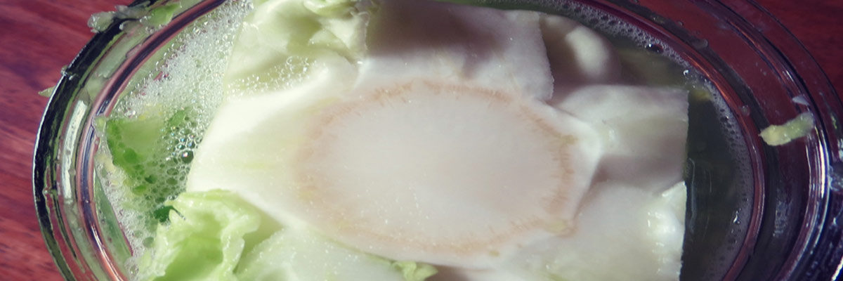 fermentation