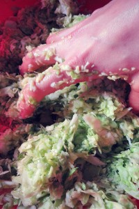 massaging cabbage