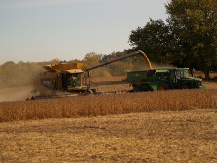Soybean harvest Soybean harvest
