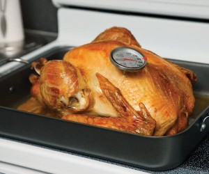 meat thermometer
