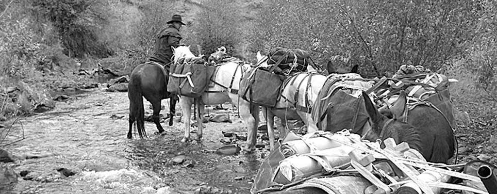 hunting party