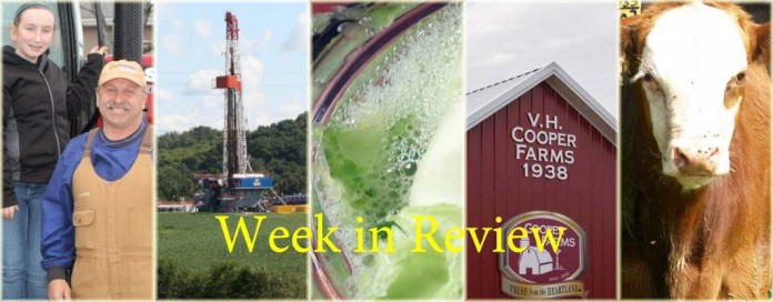 Week in Review 11/15 Week in Review 11/15