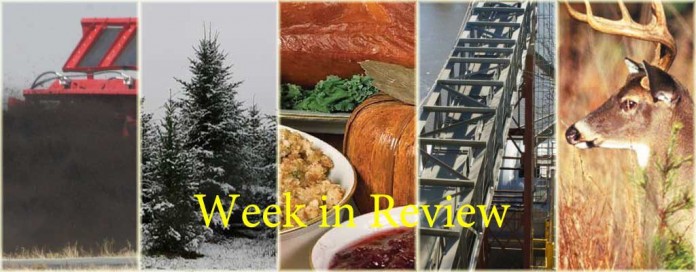 Week in Review 11/29 Week in Review 11/29