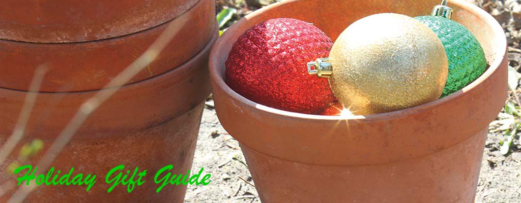 Christmas bulbs in garden pots