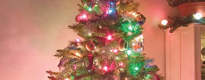 Christmas tree Christmas tree