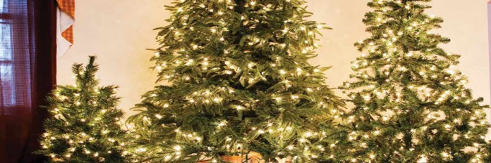 Christmas trees Christmas trees