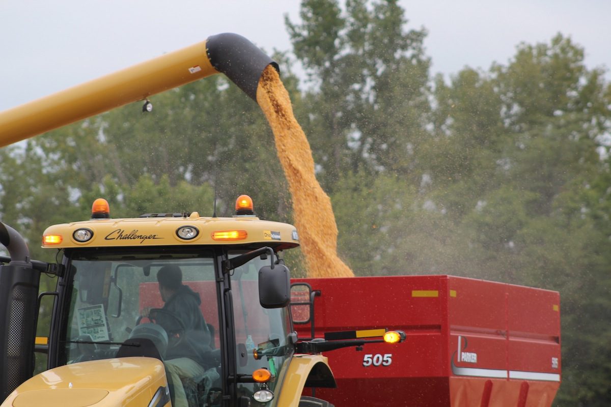 grain dump