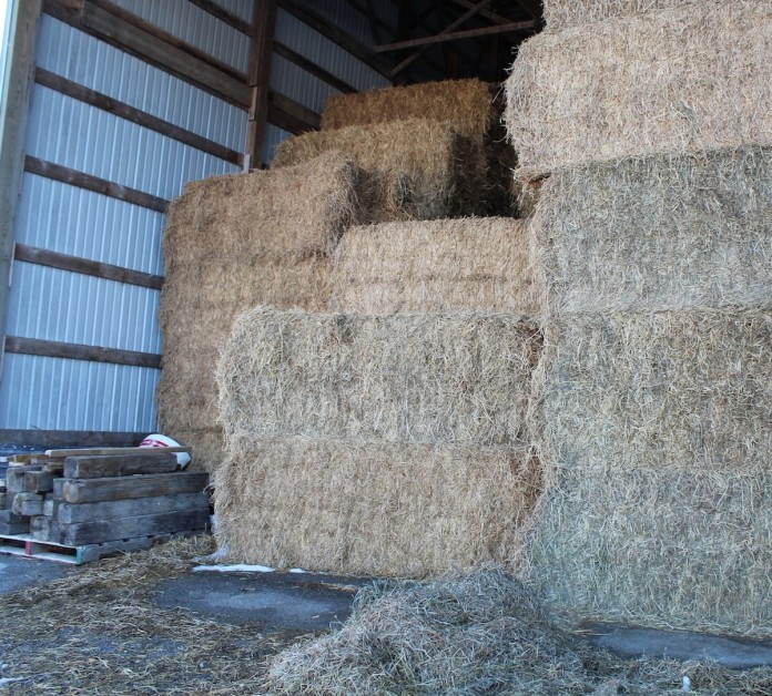 Rent hay