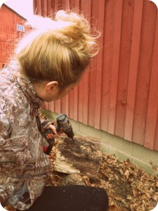 Drilling holes in log for mushroom growing