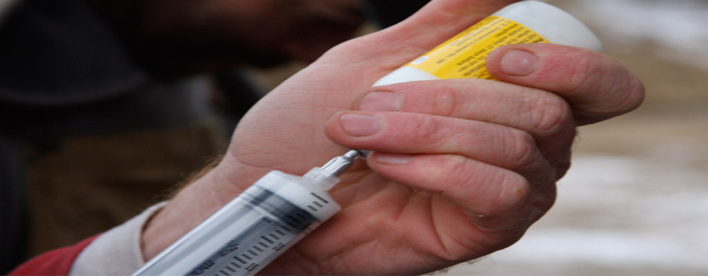 veterinary medicine