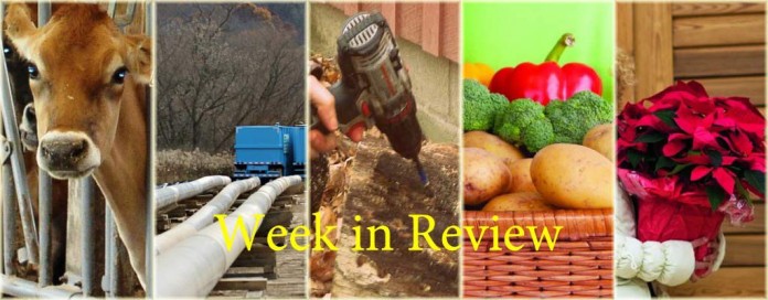 week in review 12/13 week in review 12/13