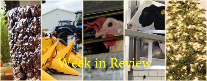 Week in Review 12/6 Week in Review 12/6