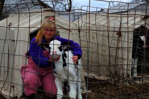 Farnsworth calf