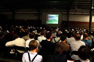 Grazing crowd